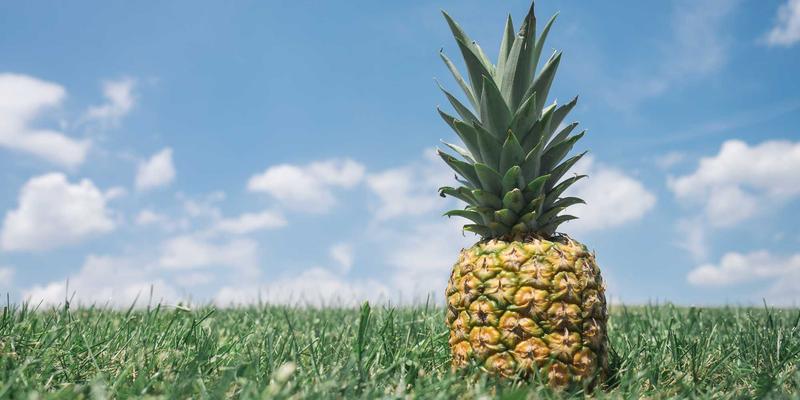 无锡别墅地下室安装林内燃气热水器：通风与安全规范全解析 | 燃气具服务指南