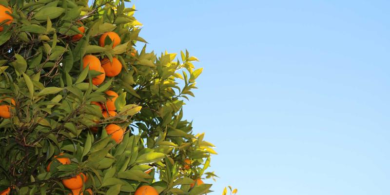 无锡家庭必看：林内燃气灶选购避坑指南，3眼、4眼还是5眼？根据烹饪习惯一次选对