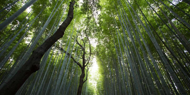 无锡开放式厨房如何选择林内油烟机？平衡大风量、低噪音与美观的三大关键