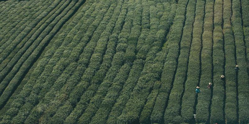 无锡林内售后服务全解析：壁挂炉保养与燃气灶安装的专业指南