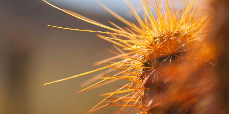 无锡林内壁挂炉冬季采暖：能效表现深度解析与省气实用技巧