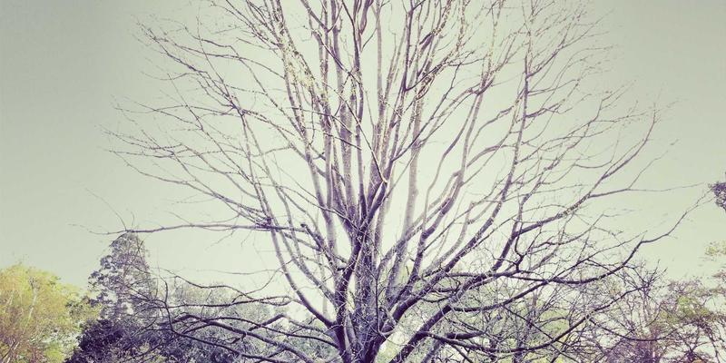 无锡林内用户必读：轻松解读燃气账单，掌握节能妙招，让燃气具服务更省心