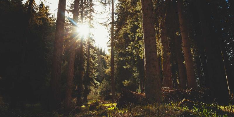 无锡梅雨季干衣除湿利器：林内燃气干衣机效果与成本全解析 | 附无锡林内售后服务与安装指南