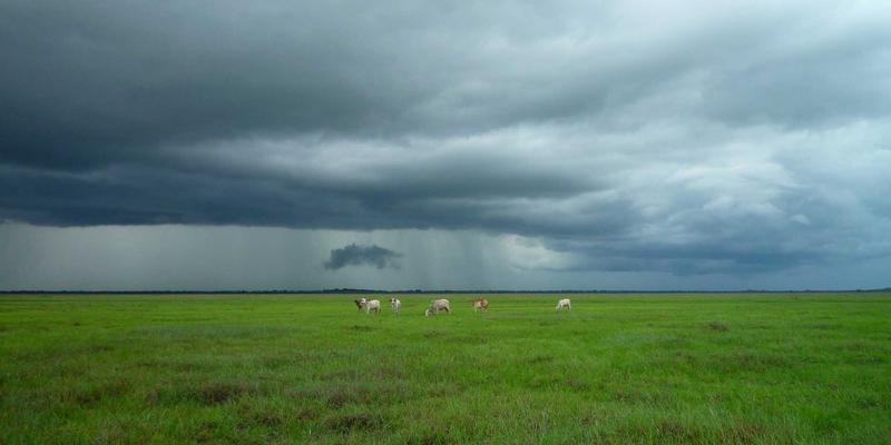 无锡精装房交付后，如何安全加装林内燃气热水器？专业安装与维修指南