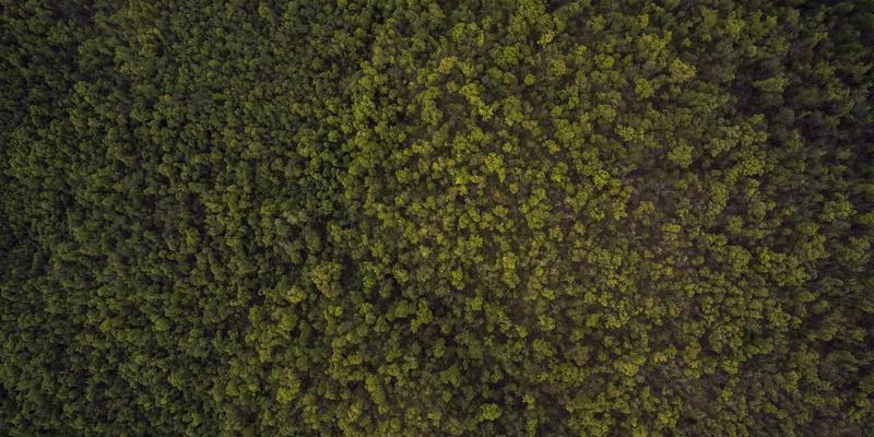 无锡老小区燃气改造全攻略：安全升级与林内新款燃气热水器专业安装指南