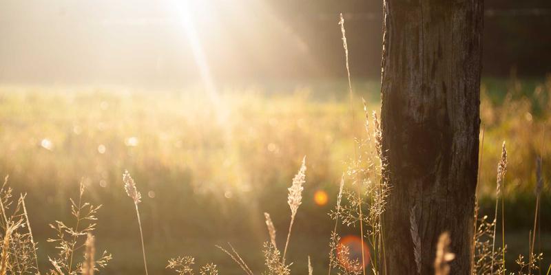 无锡高层住宅林内燃气热水器排烟管安装规范：安全、维修与保养全解析