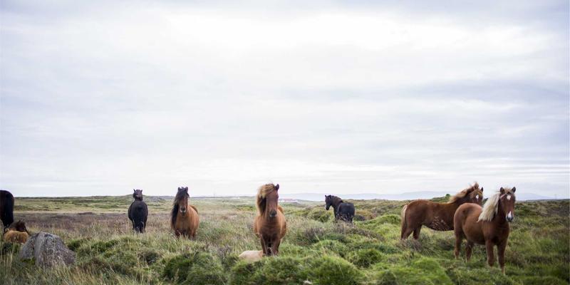 林内无锡用户指南：燃气热水器使用、维修与官方售后服务全解析