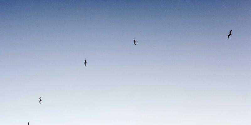 林内零冷水热水器在无锡家庭中的真实体验：舒适背后，能耗与维护成本全解析